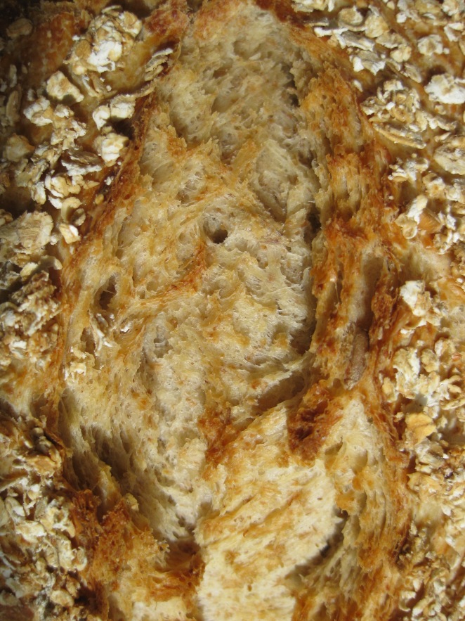 Honey Grain Bread 